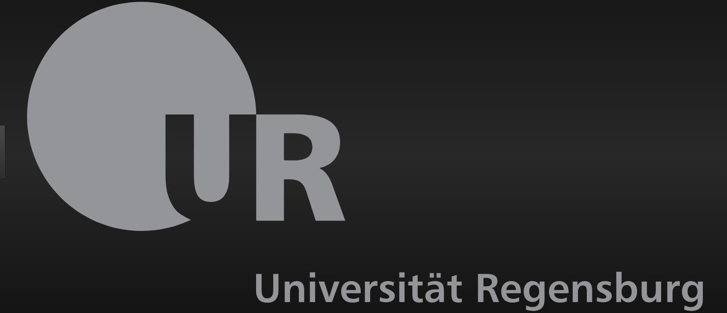 University of Regensburg